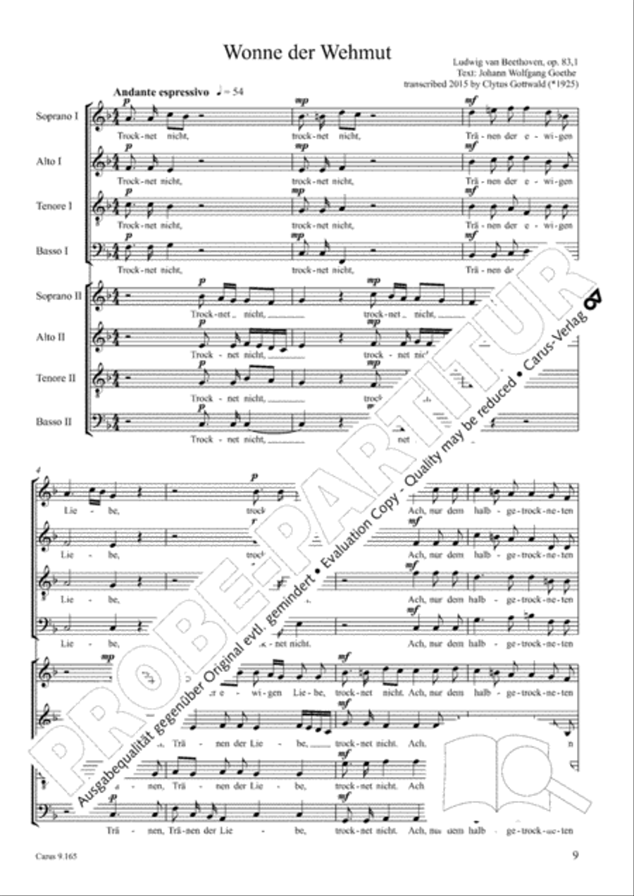 Drei Lieder nach Texten von Goethe Choir scores gallery preview page 10