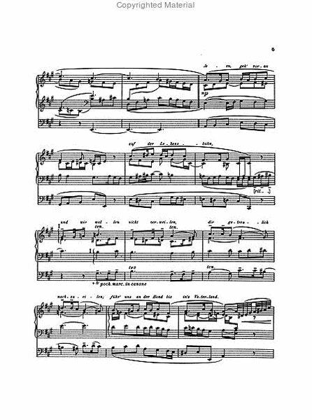 66 Chorale Improvisations Op. 65