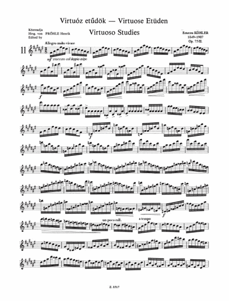 Virtuose Etüden für Flöte 2