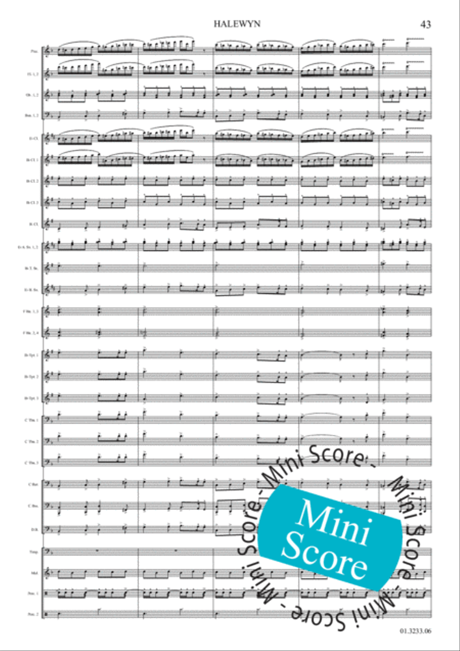 Halewijn Concert Band scores gallery preview page 49