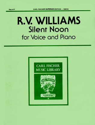 Book cover for Silent Noon
