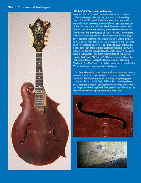 The Complete Guide to the Gibson Mandolins