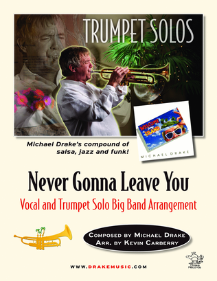 Book cover for Never Gonna Leave You