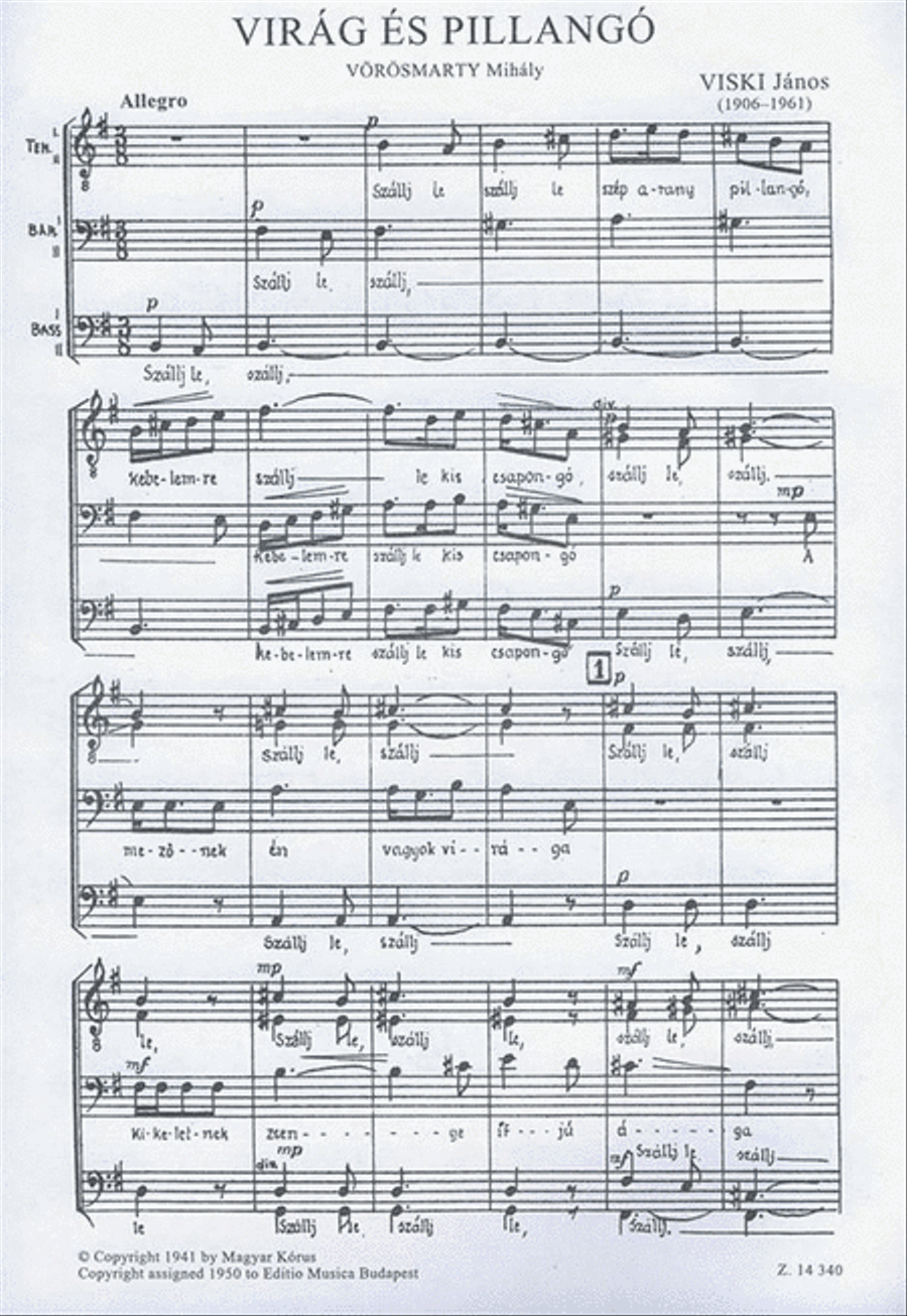 Virág és pillangó A Cappella scores gallery preview page 2