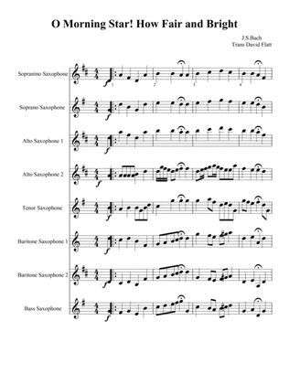Book cover for Saxophone Festival Series - 16 Bach Chorales for Sax Choir