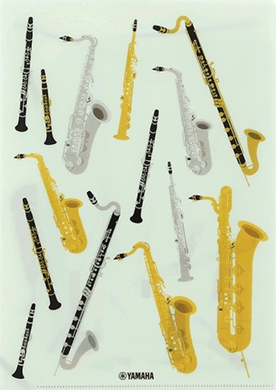 Woodwind A4 2-Pocket Clear Folder - Designed by Contra-St