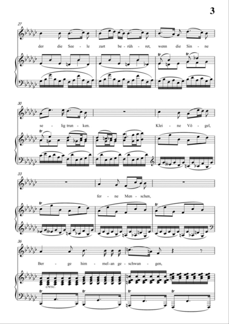 Schubert-Abendröth in bG for Vocal and Piano Voice scores gallery preview page 4