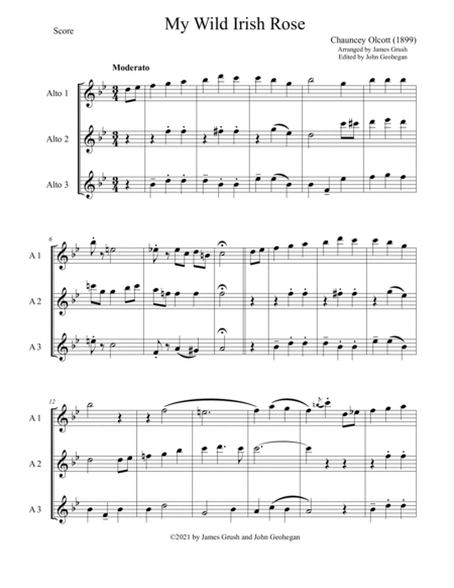 Four Irish - American Songs for Trios of S, A, and T Recorders image number null