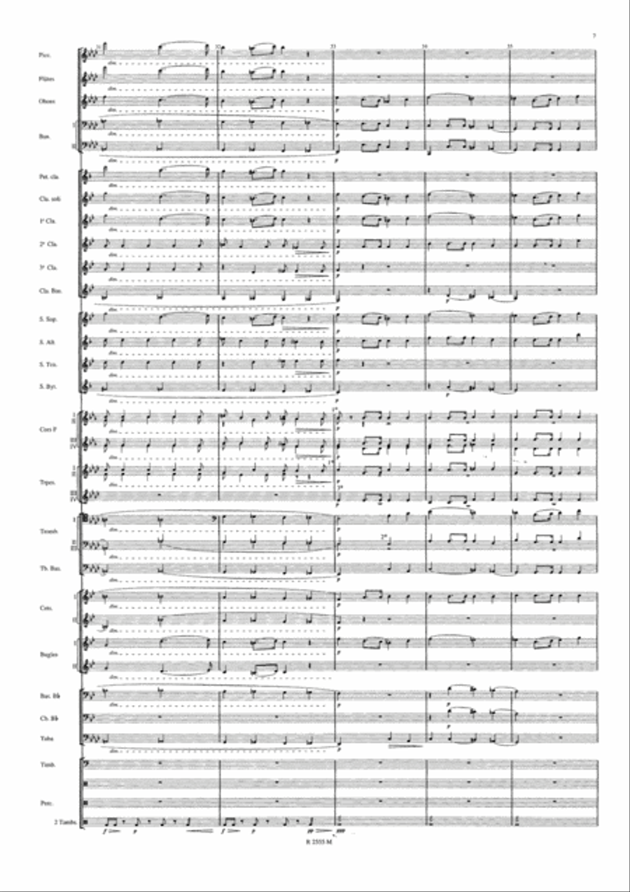 Symphonie Funebre et Triomphale Concert Band scores gallery preview page 8