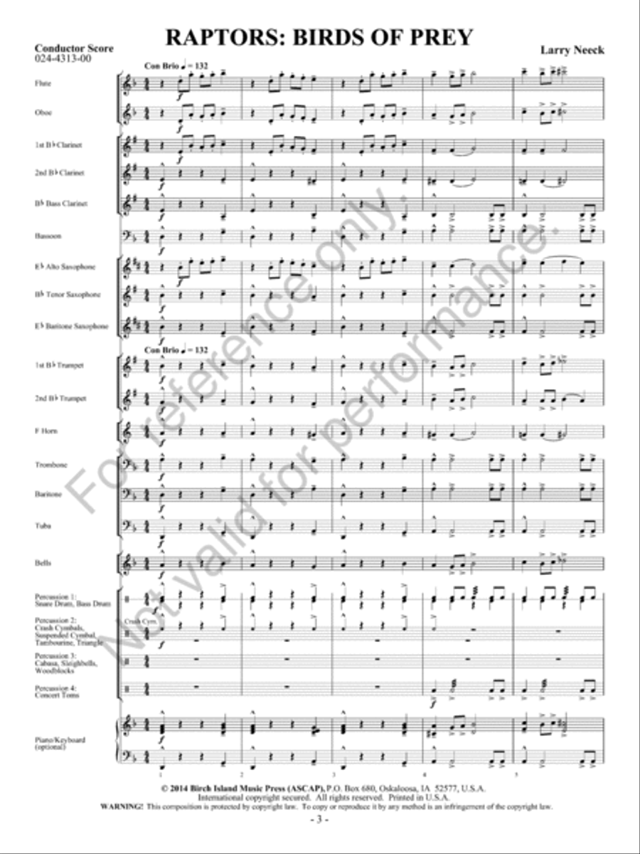 Raptors: Birds of Prey Concert Band scores gallery preview page 4