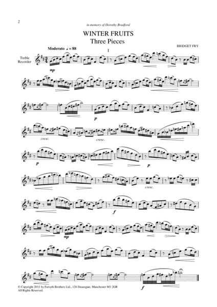 Pieces for Solo Recorder Vol. 5