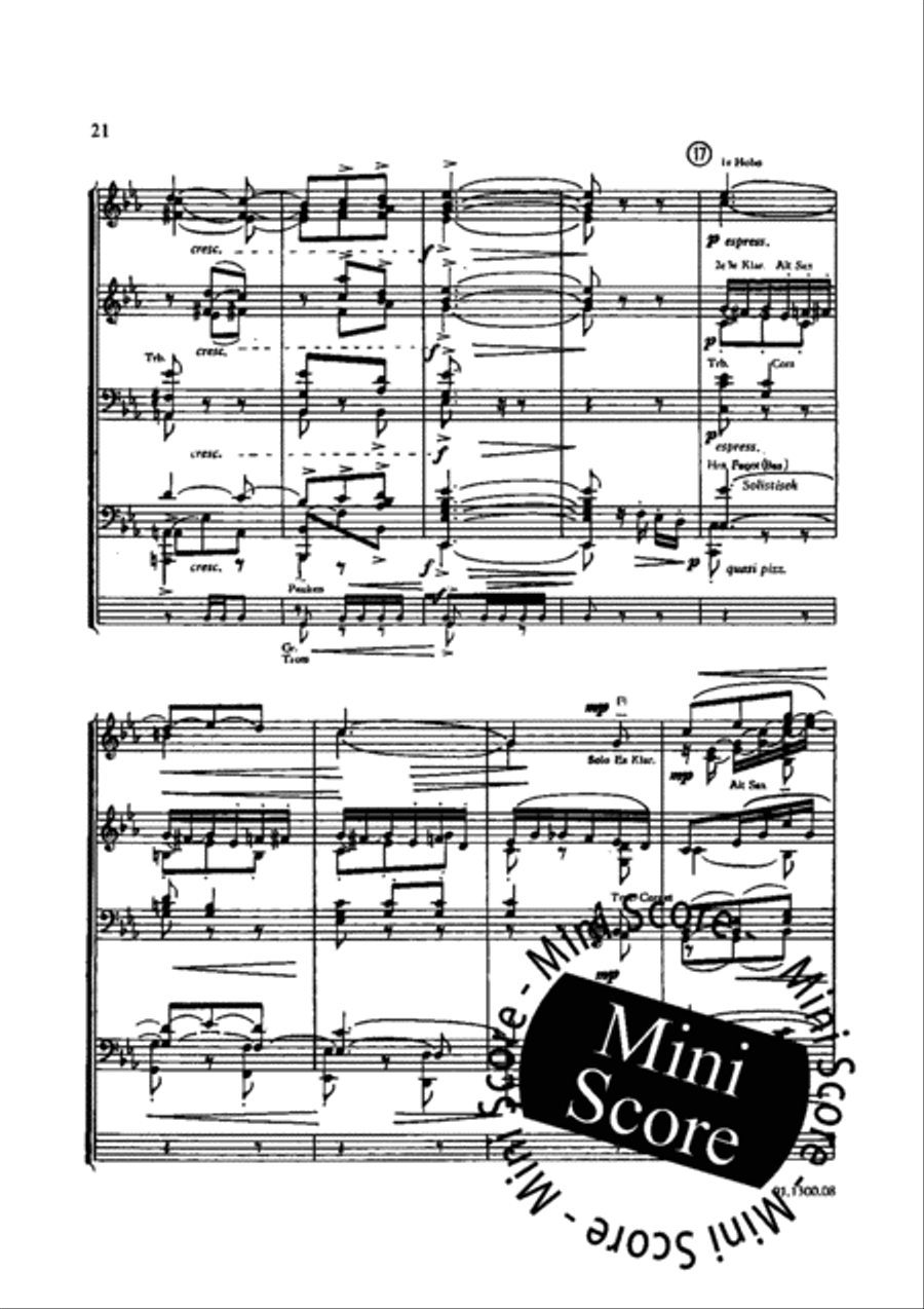 Spaans Nederlandse Dans Spaans Nederlandse Dans Concert Band scores gallery preview page 24