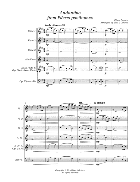 Andantino from Pieces posthumes for Flute Choir image number null