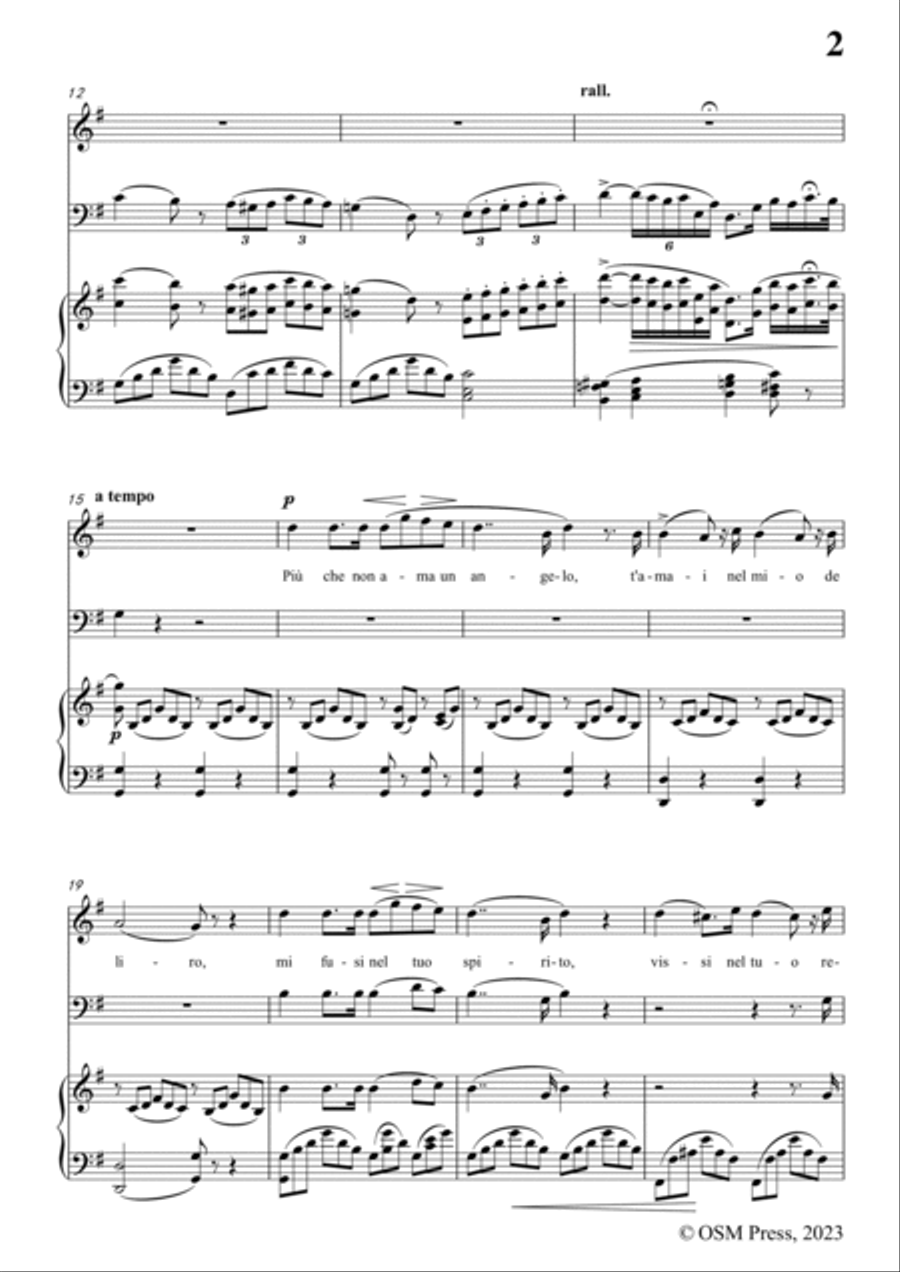 Donizetti-L'amor funesto,for Voice,Cello and Piano String Orchestra scores gallery preview page 3