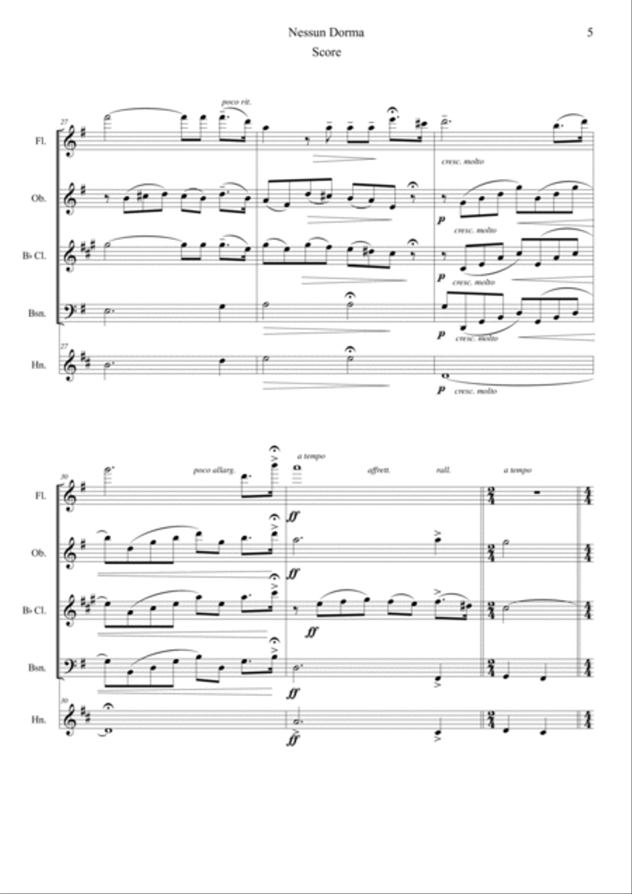 Nessun Dorma (Opera Turandot aria) Woodwind Quintet scores gallery preview page 5