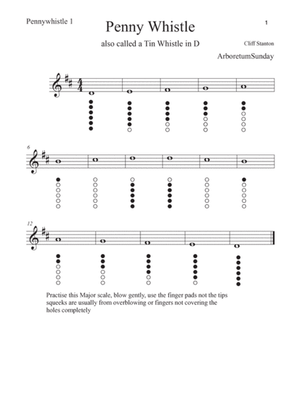 Tin Whistle for Two - Tin Whistle - Digital Sheet Music