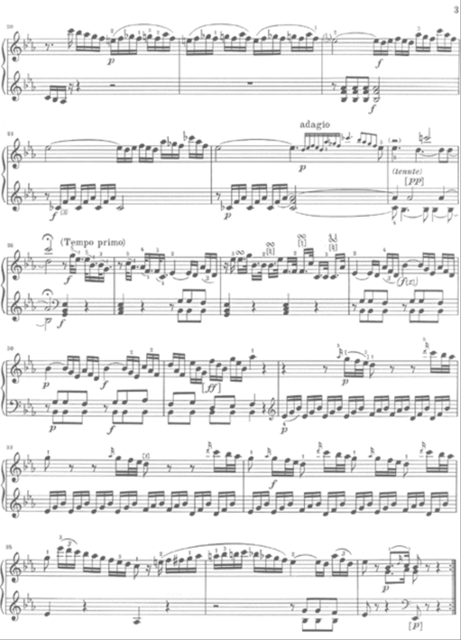 Piano Sonata in C minor Hob.XVI:20 Piano Solo scores gallery preview page 3