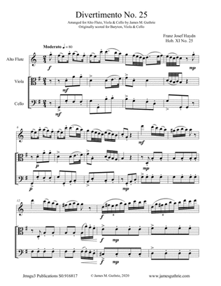 Haydn: Divertimento No. 25 Trio for Alto Flute, Viola & Cello
