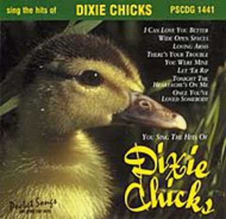You Sing: The Hits Of Dixie Chicks (Karaoke CDG) image number null