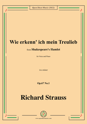 Book cover for Richard Strauss-Wie erkenn' ich mein Treulieb,in a minor,Op.67 No.1,for Voice and Piano
