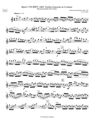 Book cover for Bach 1729 BWV 1041 Violin Concerto in Am Solo Flute Part