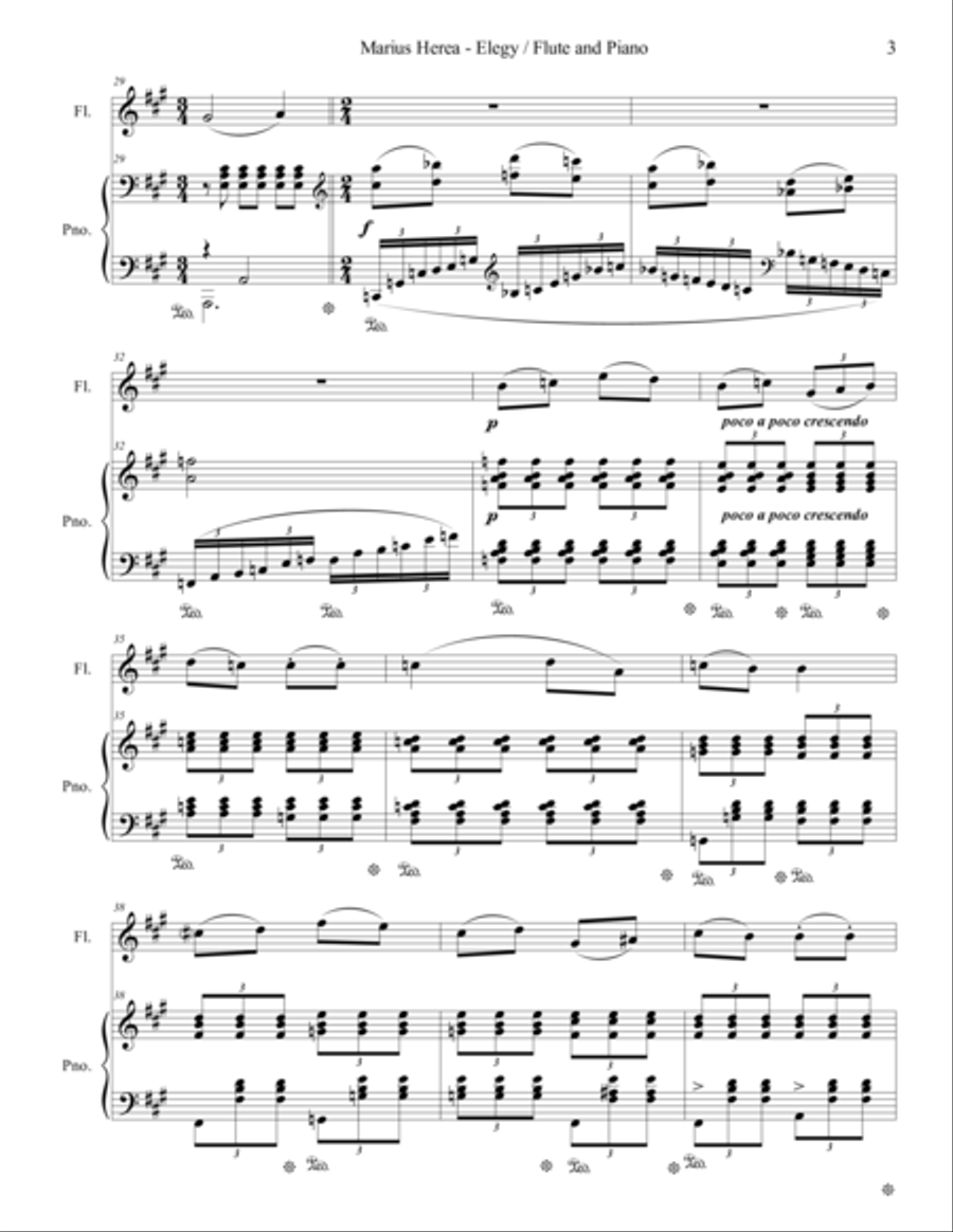 Elegy Flute Solo scores gallery preview page 3