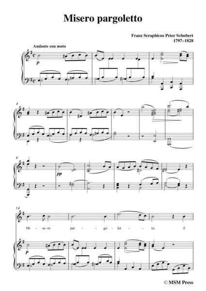 Schubert-Misero pargoletto,in e minor,for Voice&Piano image number null