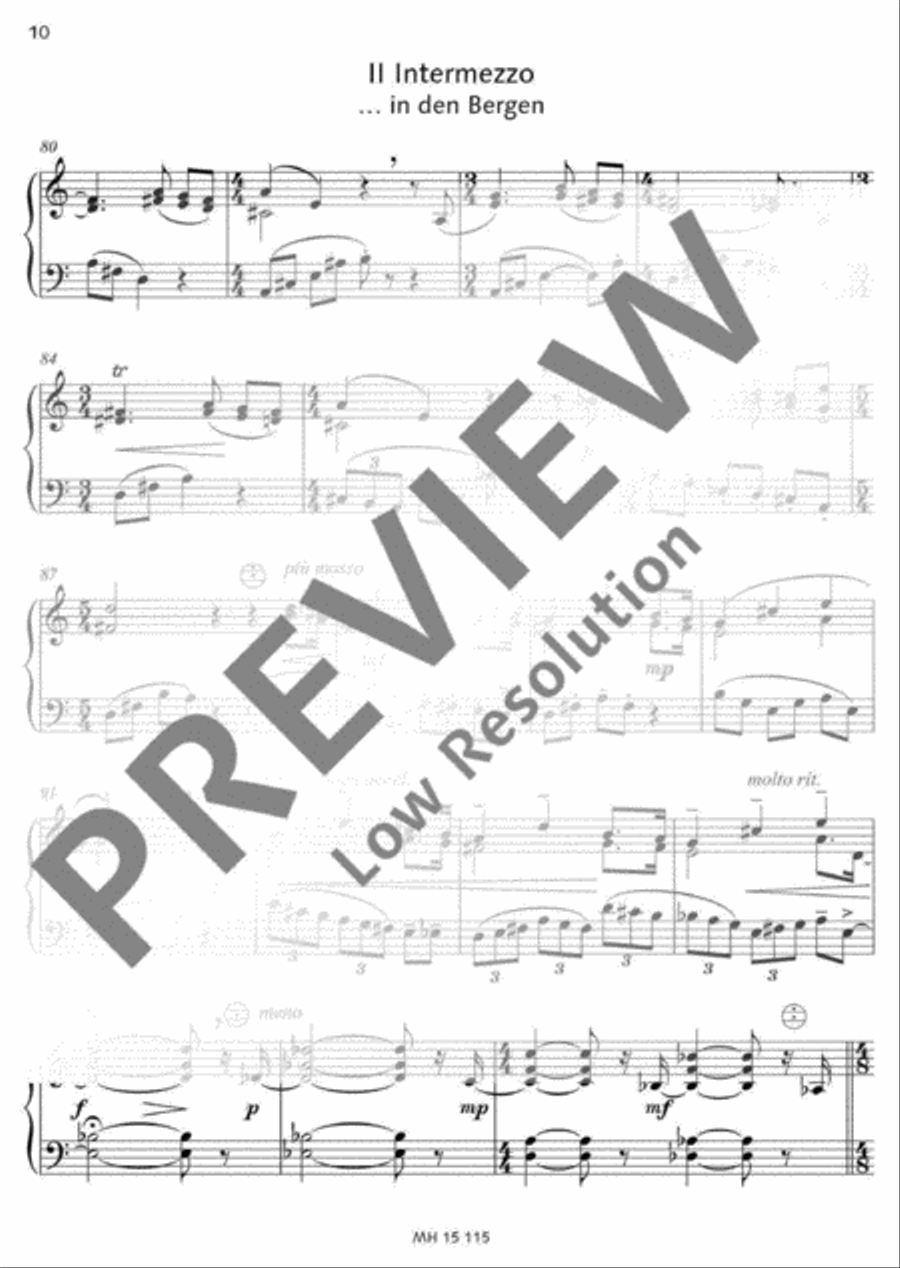 Sommer-Mosaik Sommer-Mosaik Accordion scores gallery preview page 11