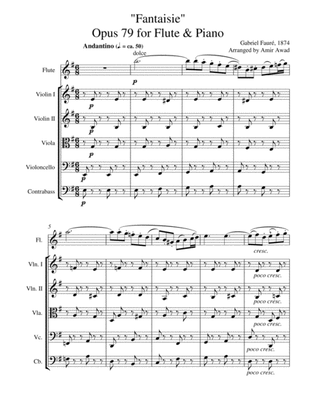 Gabriel Fauré : Fantaisie for Flute and Piano op. 79 , Arranged for Flute and string Orchestra