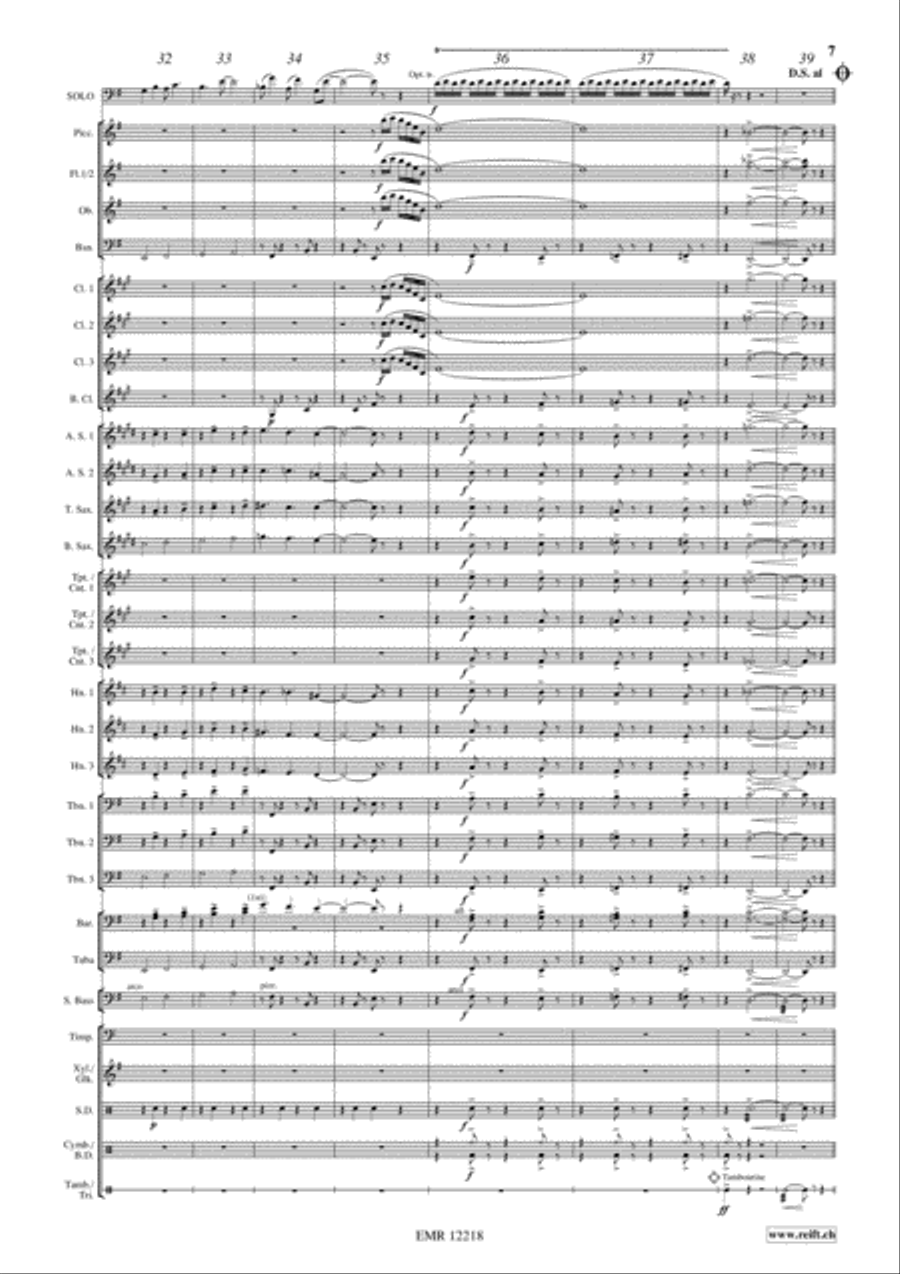 Concerto Piccolo Concerto Piccolo Concert Band scores gallery preview page 8