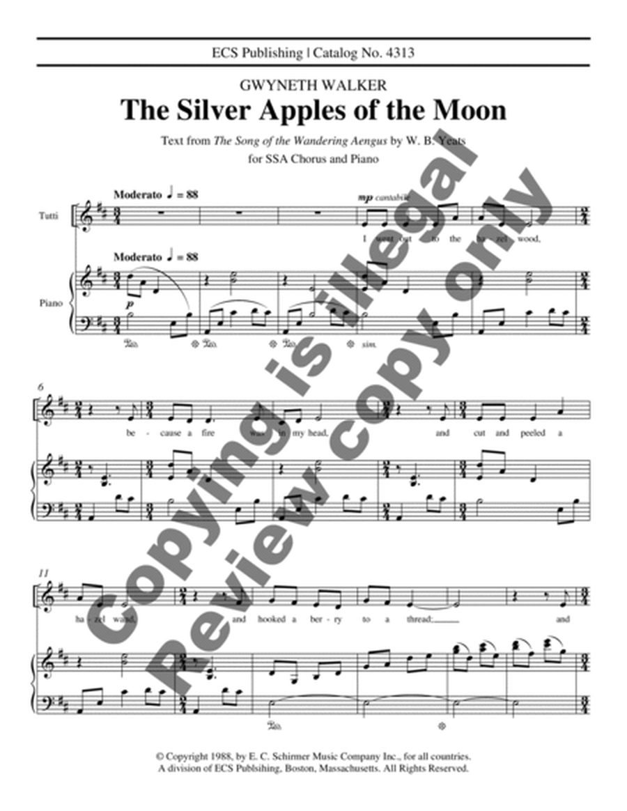 The Silver Apples of the Moon