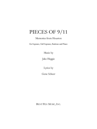 Book cover for Pieces of 9/11