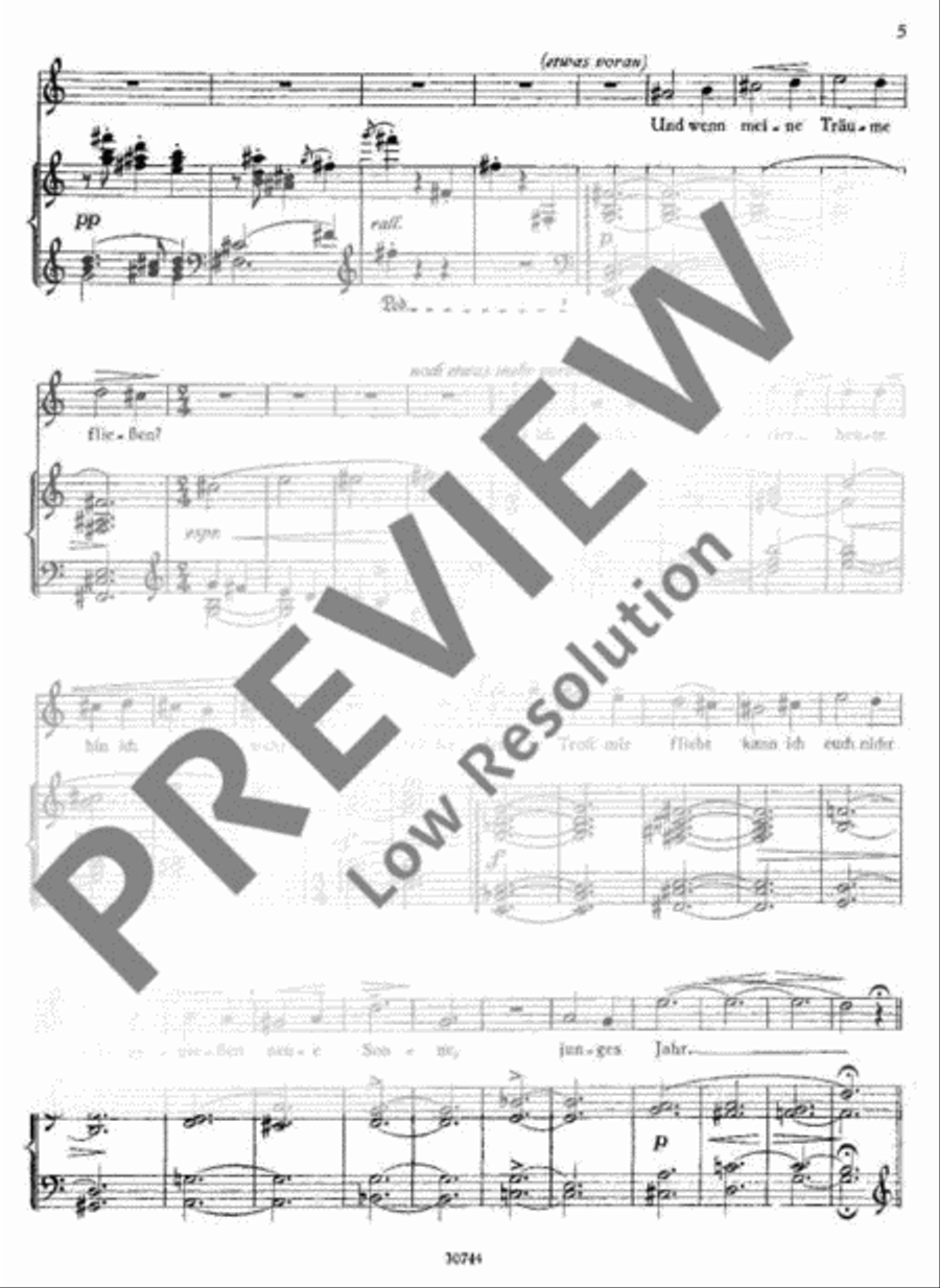 Sänge eines fahrenden Spielmanns Voice Solo scores gallery preview page 6