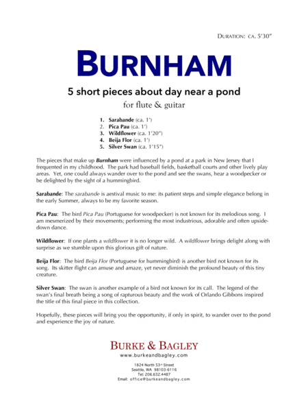 Burnham image number null