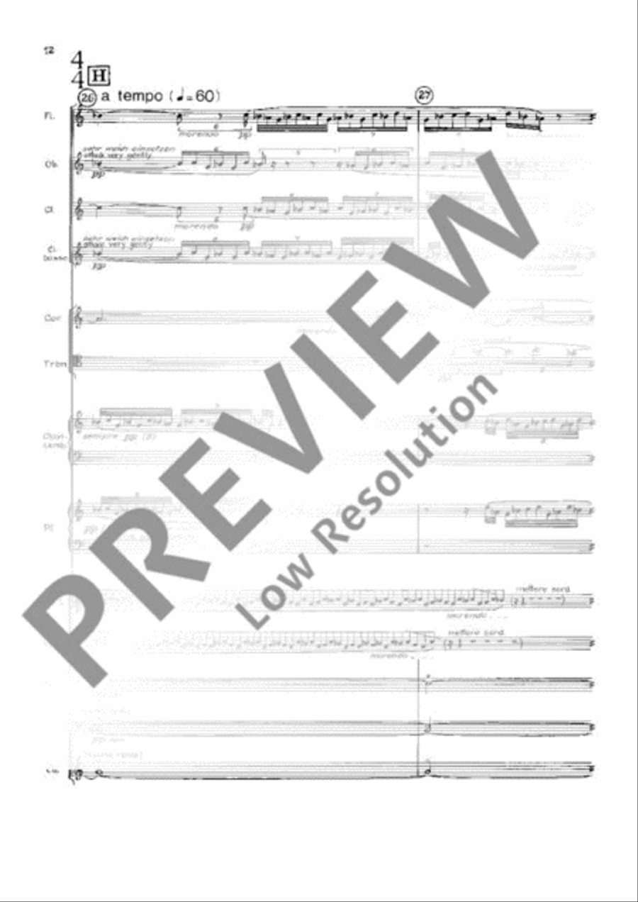 Chamber Concerto Oboe scores gallery preview page 19