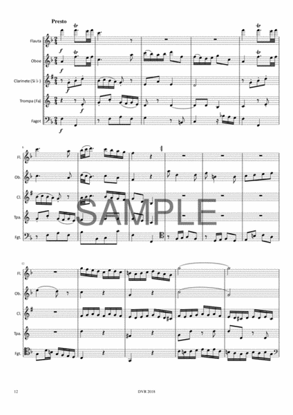 Mozart Divertimento Kv 138 (for Wind Quintet) image number null