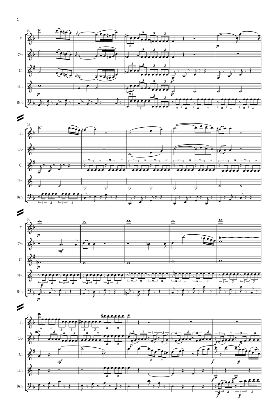 Mozart: Piano Concerto No.21 in C “Elvira Madigan” K467 Mvt.II Andante - wind quintet Woodwind Quintet scores gallery preview page 2