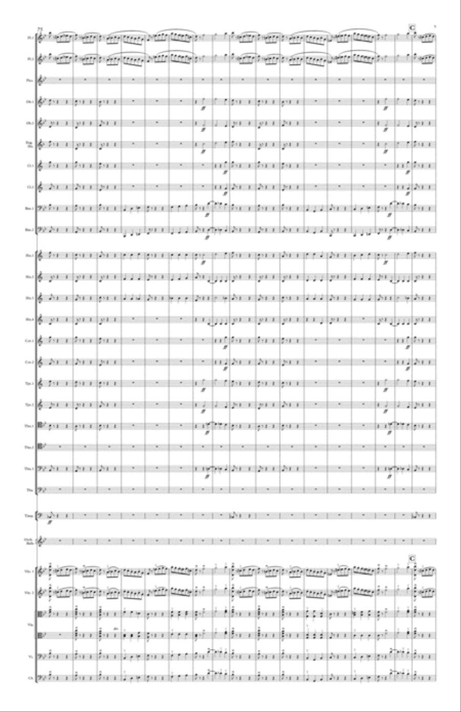 Sleeping Beauty Waltz for orchestra Full Orchestra scores gallery preview page 5