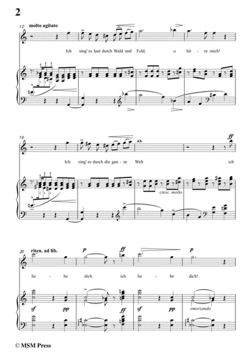 Liszt-In liebeslust in C Major,for Voice and Piano image number null