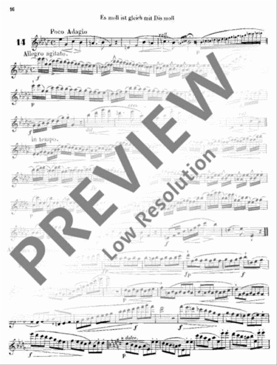 Melodic Exercises Flute scores gallery preview page 17