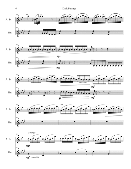 Dark Passage, Duet for Alto Saxophone and F Horn