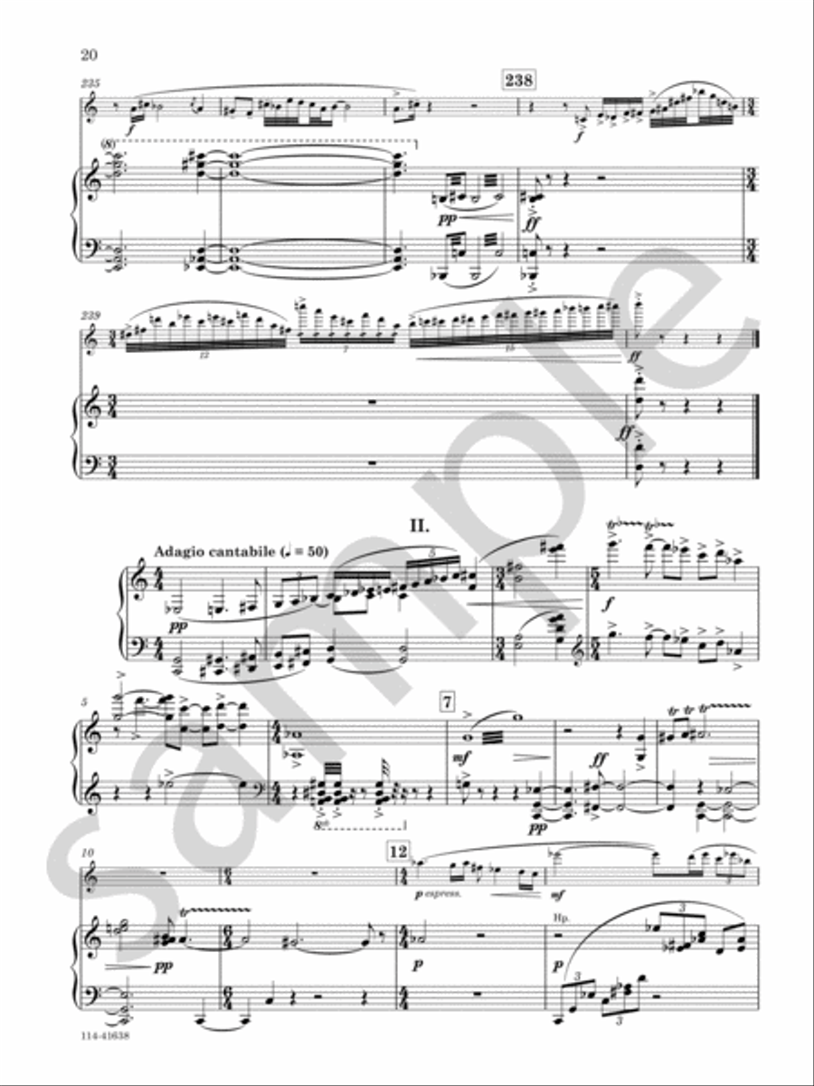 Concerto For Flute And Orchestra Chamber Music scores gallery preview page 7