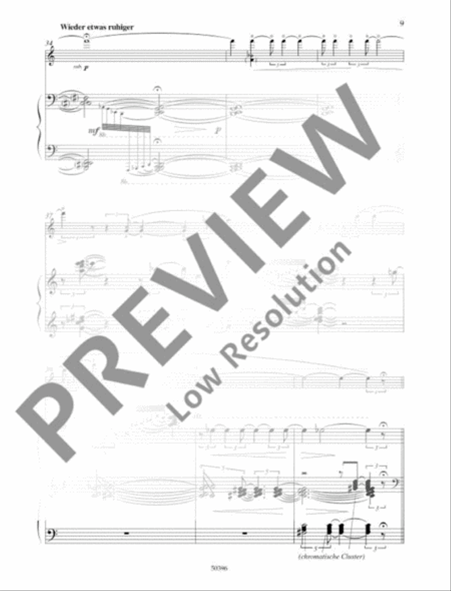 Epitaph Violin Solo scores gallery preview page 10