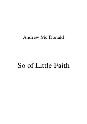 Book cover for So of Little Faith