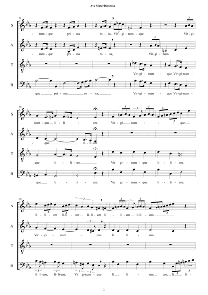 Ave, Mater Dolorosa - Motet for Choir SATB a cappella image number null