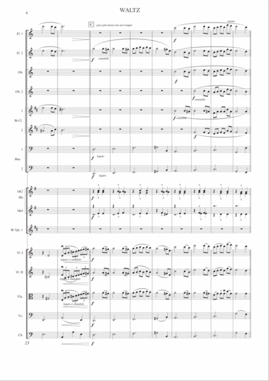 Waltz (for Full Orchestra) Full Orchestra scores gallery preview page 5
