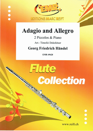 Book cover for Adagio and Allegro