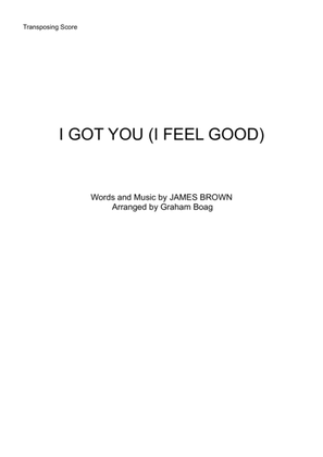 Book cover for I Got You (I Feel Good)