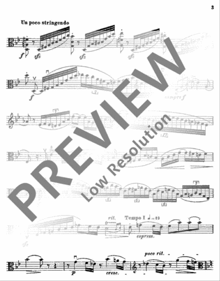 Romanze F Major Viola scores gallery preview page 14