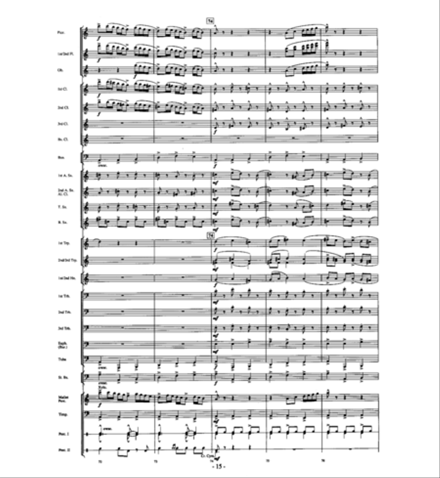 Agua's Whelm Agua's Whelm Concert Band scores gallery preview page 14